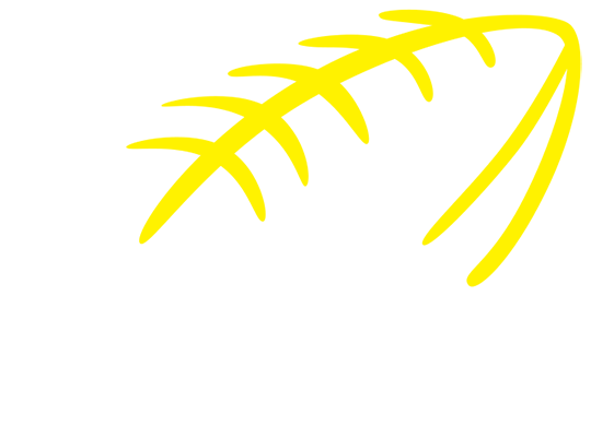 EFOA